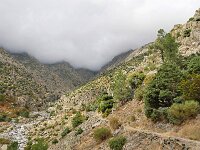 E, Avila, Guisando, Galayos valley 20, Saxifraga-Tom Heijnen