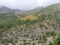 E, Avila, Guisando, Galayos valley 22, Saxifraga-Tom Heijnen