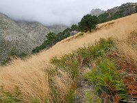 E, Avila, Guisando, Galayos valley 30, Saxifraga-Tom Heijnen