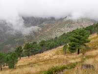 E, Avila, Guisando, Galayos valley 33, Saxifraga-Tom Heijnen