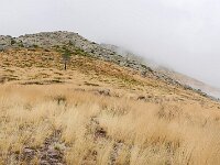 E, Avila, Guisando, Galayos valley 36, Saxifraga-Tom Heijnen