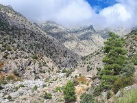 E, Avila, Guisando, Galayos valley 5, Saxifraga-Tom Heijnen