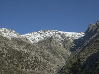 E, Avila, Guisando, Nogal del Barranco 10, Saxifraga-Willem van Kruijsbergen