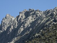 E, Avila, Guisando, Nogal del Barranco 11, Saxifraga-Willem van Kruijsbergen