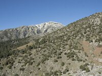 E, Avila, Guisando, Nogal del Barranco 13, Saxifraga-Willem van Kruijsbergen