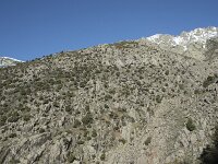 E, Avila, Guisando, Nogal del Barranco 14, Saxifraga-Willem van Kruijsbergen