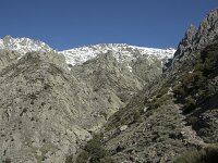 E, Avila, Guisando, Nogal del Barranco 16, Saxifraga-Willem van Kruijsbergen