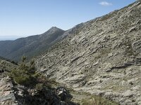 E, Avila, Guisando, Nogal del Barranco 18, Saxifraga-Willem van Kruijsbergen