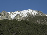 E, Avila, Guisando, Nogal del Barranco 2, Saxifraga-Willem van Kruijsbergen