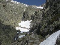 E, Avila, Guisando, Nogal del Barranco 34, Saxifraga-Willem van Kruijsbergen