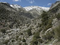E, Avila, Guisando, Nogal del Barranco 43, Saxifraga-Willem van Kruijsbergen