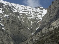 E, Avila, Guisando, Nogal del Barranco 45, Saxifraga-Willem van Kruijsbergen
