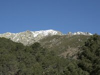 E, Avila, Guisando, Nogal del Barranco 5, Saxifraga-Willem van Kruijsbergen
