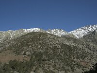 E, Avila, Guisando, Nogal del Barranco 9, Saxifraga-Willem van Kruijsbergen