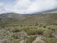 Hoyos del Espino
