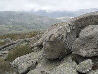 E, Avila, Hoyos del Espino 11, Saxifraga-Willem van Kruijsbergen