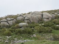 E, Avila, Hoyos del Espino 15, Saxifraga-Willem van Kruijsbergen