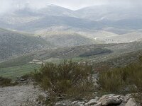 E, Avila, Hoyos del Espino 8, Saxifraga-Willem van Kruijsbergen