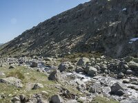 E, Avila, San Juan de Gredos, Senda de la Laguna Grande 3, Saxifraga-Willem van Kruijsbergen