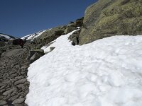E, Avila, San Juan de Gredos, Senda de la Laguna Grande 5, Saxifraga-Willem van Kruijsbergen
