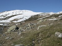 E, Avila, San Juan de Gredos, Senda de la Laguna Grande 7, Saxifraga-Willem van Kruijsbergen