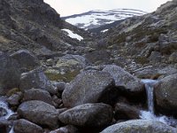 E, Avila, Villarejo del Valle, Puerte del Pico 5, Saxifraga-Jan van der Straaten