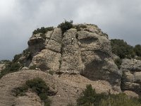 E, Barcelona, Matadepera,  NP Sant Llorenc del Munt 13, Saxifraga-Jan van der Straaten