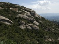 E, Barcelona, NP Montserrat 3, Saxifraga-Jan van der Straaten