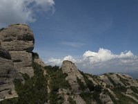 E, Barcelona, NP Montserrat 8, Saxifraga-Jan van der Straaten