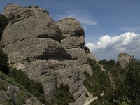 E, Barcelona, NP Montserrat 9, Saxifraga-Jan van der Straaten