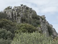 E, Caceres, Torrejon el Rubio, Castillo de Montfrague 18, Saxifraga-Willem van Kruijsbergen
