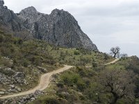 E, Cadiz, Grazalema 107, Saxifraga-Jan van der Straaten