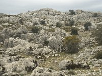 E, Cadiz, Grazalema 24, Saxifraga-Willem van Kruijsbergen