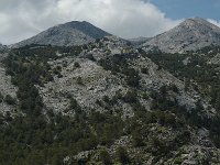 E, Cadiz, Grazalema, Llano del Endrinal 3, Saxifraga-Jan van der Straaten