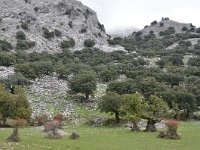 E, Cadiz, Grazalema, Sierra del Endrinal 5, Saxifraga-Tom Heijnen