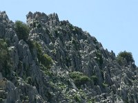 E, Cadiz, Villaluenga del Rosario, Sierra de Libar 4, Saxifraga-Dirk Hilbers