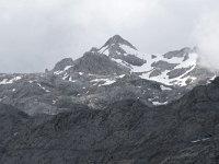 E, Cantabria, Camaleno, Fuente De 150, Saxifraga-Willem van Kruijsbergen