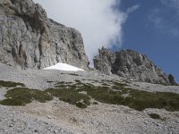 E, Cantabria, Camaleno, Fuente De 36, Saxifraga-Willem van Kruijsbergen