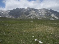 E, Cantabria, Camaleno, Fuente De 62, Saxifraga-Willem van Kruijsbergen