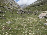 E, Cantabria, Camaleno, Fuente De 69, Saxifraga-Willem van Kruijsbergen