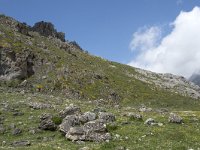 E, Cantabria, Camaleno, Fuente De 71, Saxifraga-Willem van Kruijsbergen