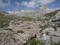 E, Cantabria, Camaleno, Fuente De 90, Saxifraga-Willem van Kruijsbergen