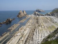 E, Cantabria, Liencres, Canales de los Urros 5, Saxifraga-Willem van Kruijsbergen