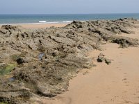 E, Cantabria, Liencres, Dunas de Liencres 33, Saxifraga-Willem van Kruijsbergen