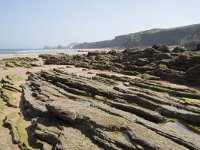 E, Cantabria, Liencres, Dunas de Liencres 35, Saxifraga-Willem van Kruijsbergen