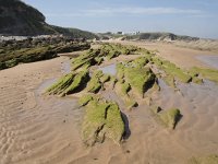 E, Cantabria, Liencres, Dunas de Liencres 42, Saxifraga-Willem van Kruijsbergen