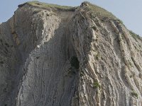 E, Cantabria, Liencres, Punta del Pino 7, Saxifraga-Willem van Kruijsbergen