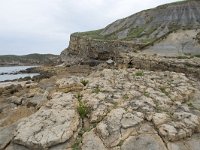 E, Cantabria, Miengo, Playa de los Caballos 19, Saxifraga-Willem van Kruijsbergen