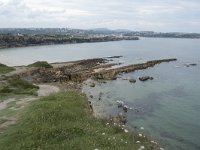 E, Cantabria, Miengo, Playa de los Caballos 49, Saxifraga-Willem van Kruijsbergen