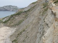 E, Cantabria, Miengo, Playa de los Caballos 54, Saxifraga-Willem van Kruijsbergen